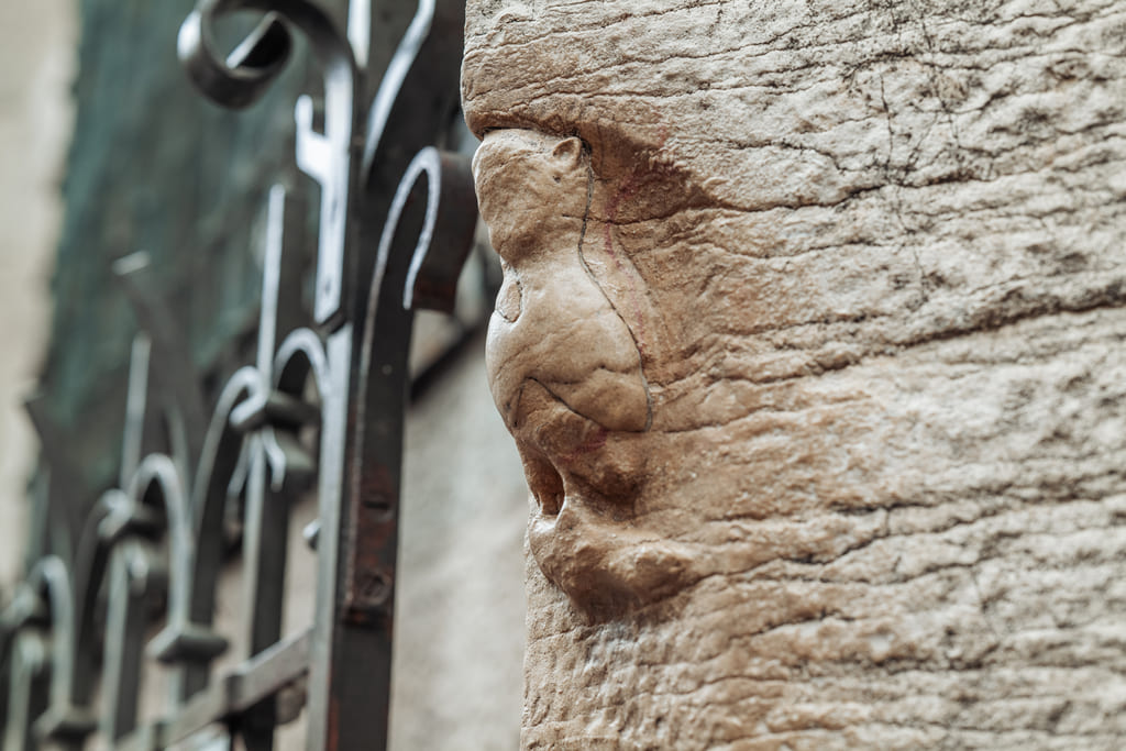 image de la chouette de dijon